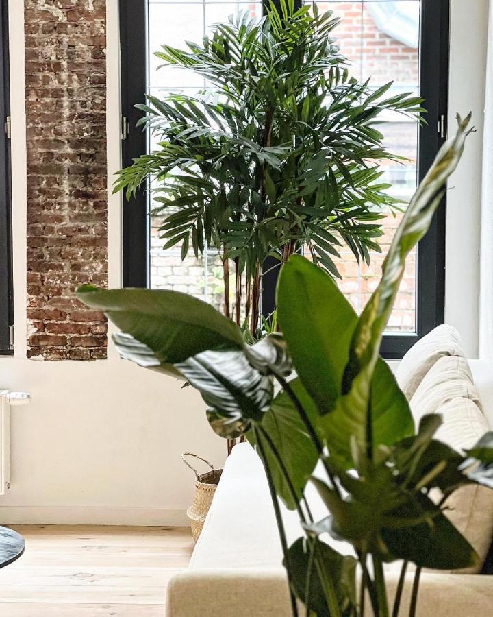 Gigi Home'S Antverpy Exteriér fotografie